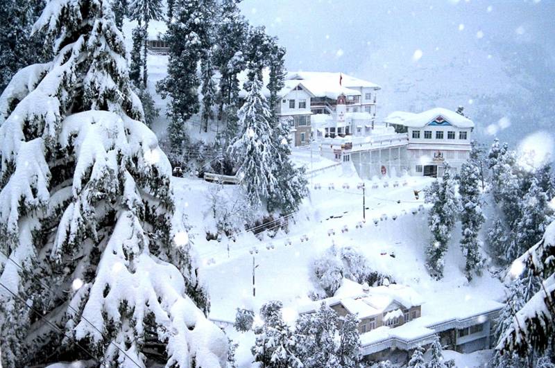 2 Nights & 3 Days Shimla Volvo Package