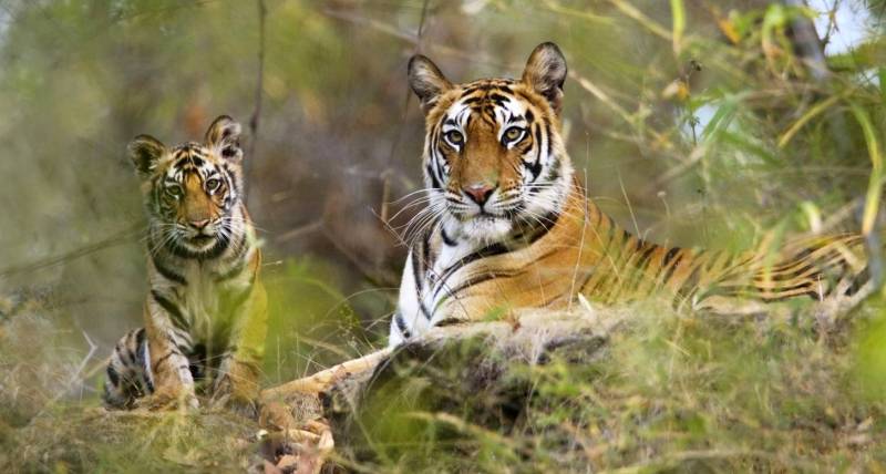 Central India Adventure Tour