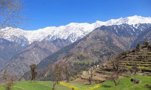 Trekking In Dhauladhars Tour