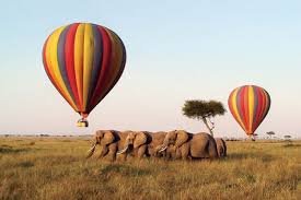 6 Days Adventure Tour Safari In Kenya