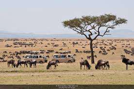 4 Days Fascinating Big Five Safari in Kenya Tour