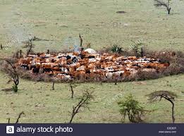 4 Days Fascinating Big Five Safari in Kenya Tour