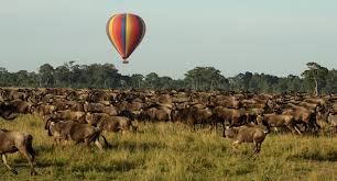 4 Days Fascinating Big Five Safari in Kenya Tour
