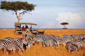 6 Days Thrilling Safari In Kenya Tour