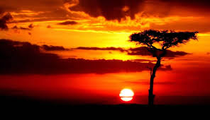 7 Days Lake Side Experience in Kenya