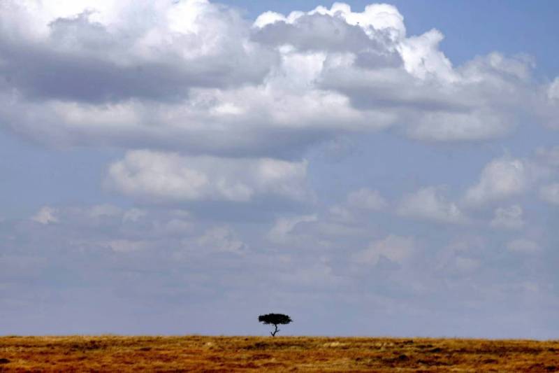 9 Days Most Beautiful Parks Safari in Kenya Tour