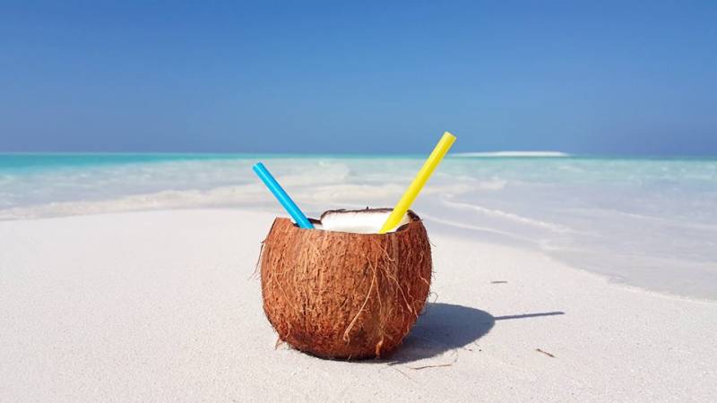 8 Days Diani Beach Stay and Tsavo East Safari Adventure in Kenya