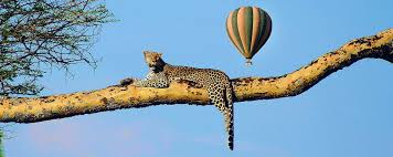 7 Days Pride Kenya Safari Tour