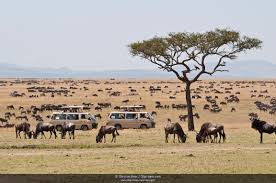 8 Days Diani Beach Escape And Safari Tour In Amboseli And Tsavo, Kenya