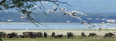 10 Days Bird Watching Adventures Tour