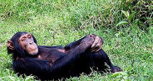 14 - Days Nomadic Safari in Kenya Tour