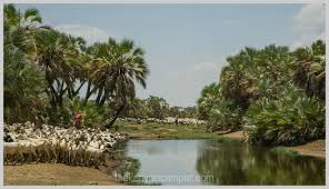 14 - Days Nomadic Safari in Kenya Tour