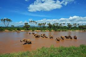14 - Days Nomadic Safari in Kenya Tour