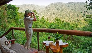 8 Days-queen Elizabeth & Bwindi National Park Safari