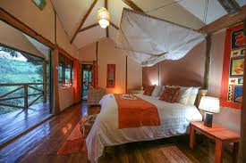 8 Days-queen Elizabeth & Bwindi National Park Safari