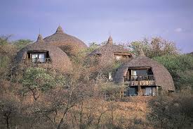 8 Days Tanzania Lodge Safaris Tour