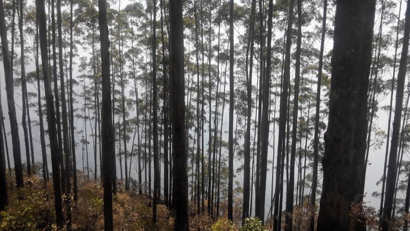 6 Nights and 7 Days, South Delight