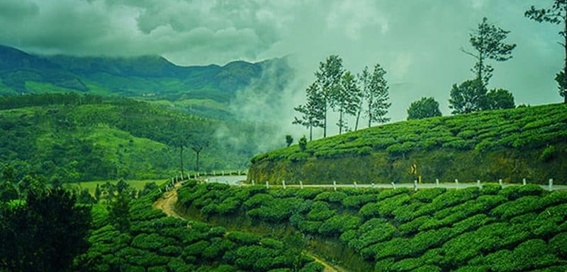 7 Night - 8 Days Kerala Tour