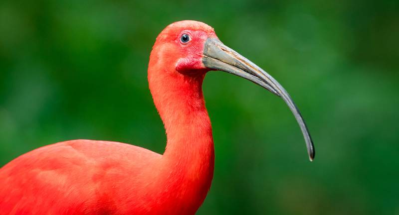 Kuala Lumpur 5 nights and 6 days