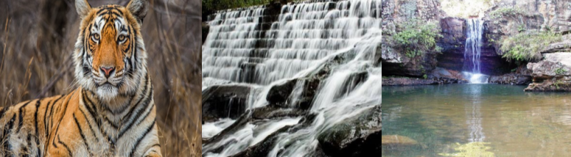 Golden Triangle Of MP 5N - 6D Tour Image