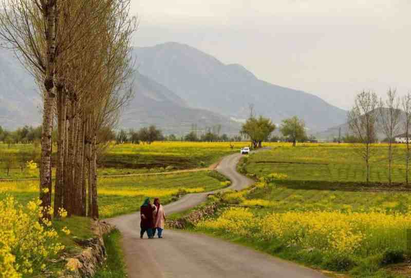 Best of Kashmir Tour
