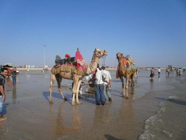 Kutch Tent City Tour Package 177617 Holdiay Packages To Kutch Bhuj