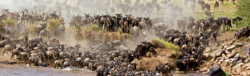 1 Day Hell's Gate Budget And Luxury Tour Package Image