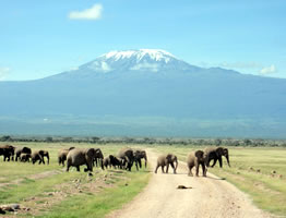 3 Days Nairobi To Amboseli National Park Kenya Safari Tour Image