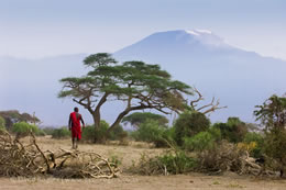 2D Nairobi To Amboseli Park Ending Diani - Malindi - Mombasa Kenya Tour Image