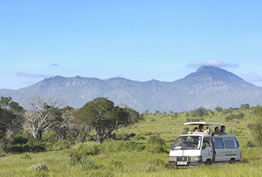 6 Days Masai Mara - Lake Nakuru - Amboseli - Tsavo West Budget Safari Tour Image