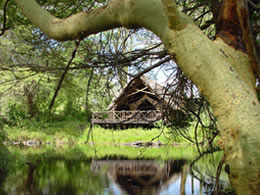5D Tsavo East-Taita Hills Game Sanctuary-Tsavo West-Amboseli Budget - Luxury Tour From Mombasa Image
