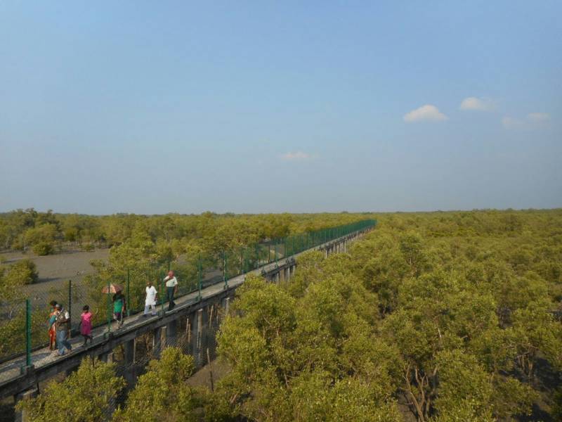 Sundarban Tour 3 Day 2 Nights - Adventure in the Jungle