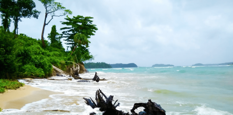 7 Night 8 Days Andaman Tour