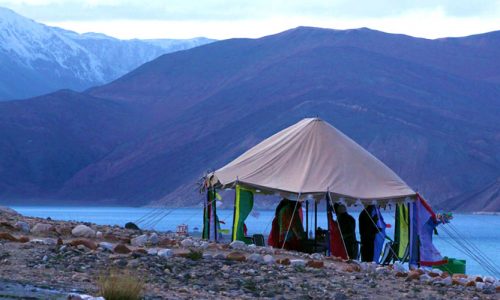 High in the Himalayas Tour Image