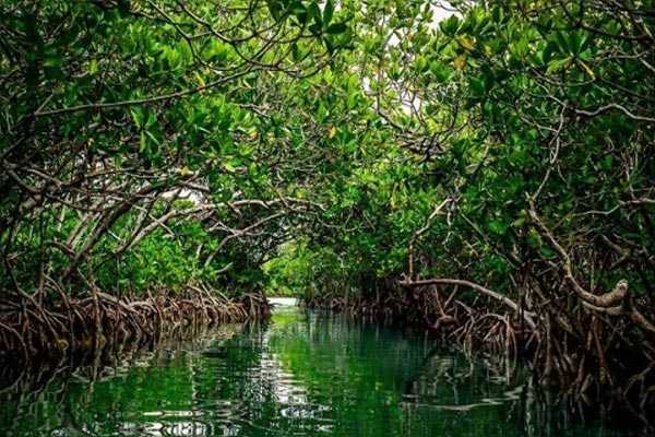 Hoeymoon Magic Moments Tour