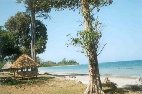 Summer Holiday Package 5 Days 4 Nights