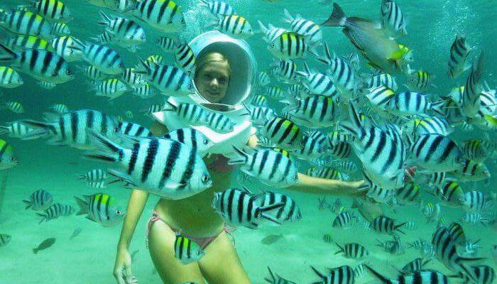 7 Days 6 Nights Honeymoon Deluxe Package