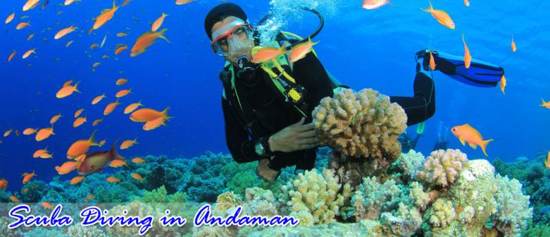 7 Days 6 Nights Honeymoon Deluxe Package