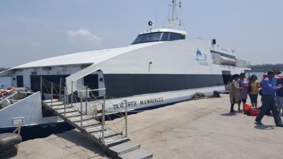 5 Days 4 Nights Honeymoon Delight Packages