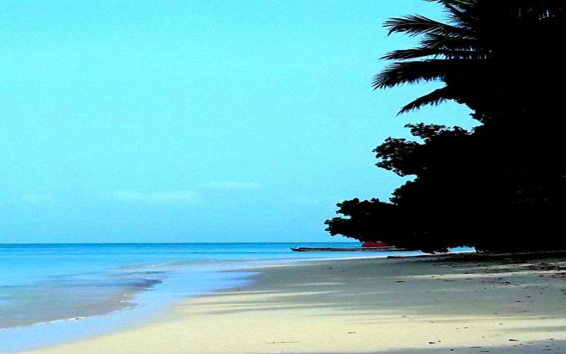 Honeymoon Package 5 Day 4 Nights