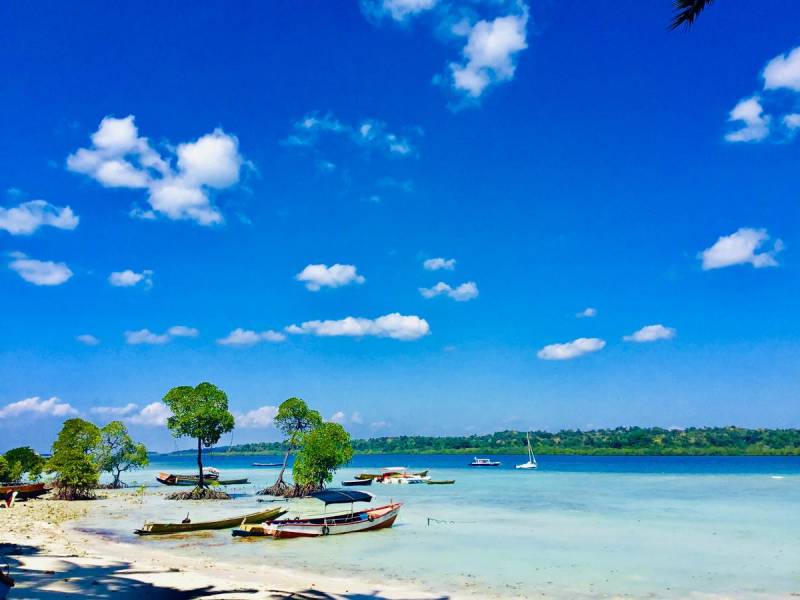 Andaman LTC Tour Packages