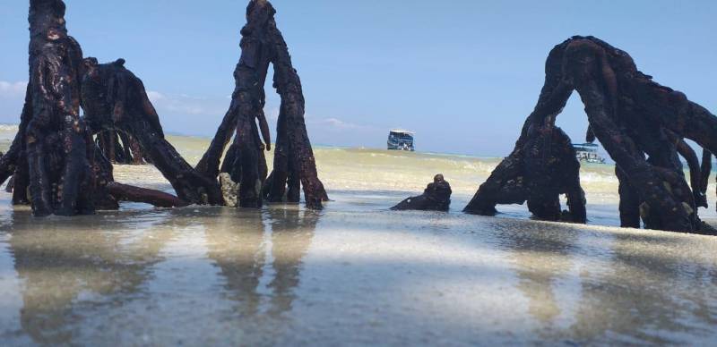 Andaman LTC Tour Packages