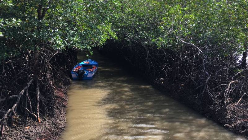 LTC Andaman Tour 5 Days 4 Nights - ( Minimum 4 Adults )