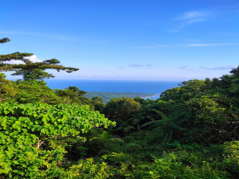 4 Nights 5 Days Andaman Weekend Trip ( 6 Adults Minimum )