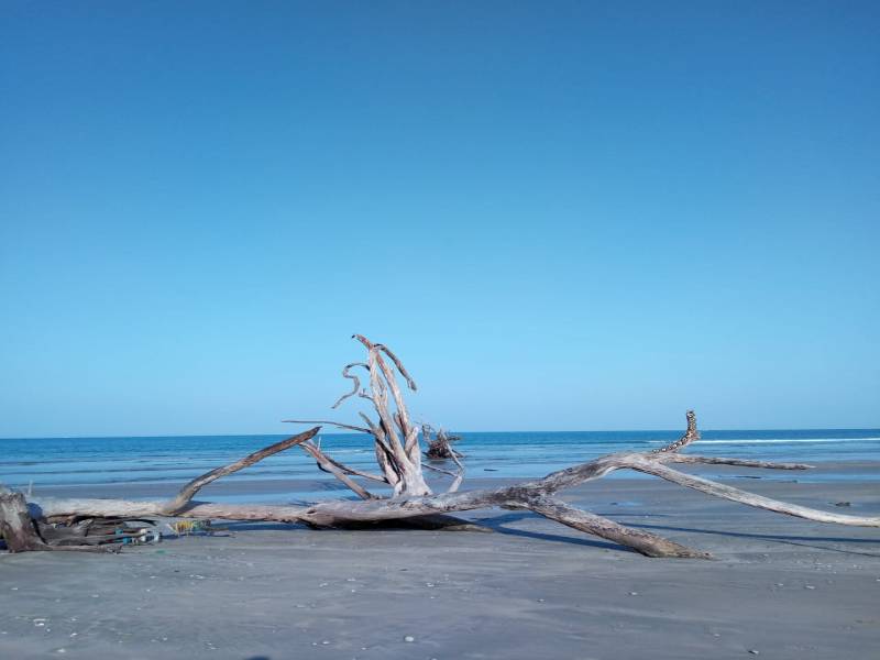 4 Nights 5 Days Andaman Weekend Trip ( 6 Adults Minimum )