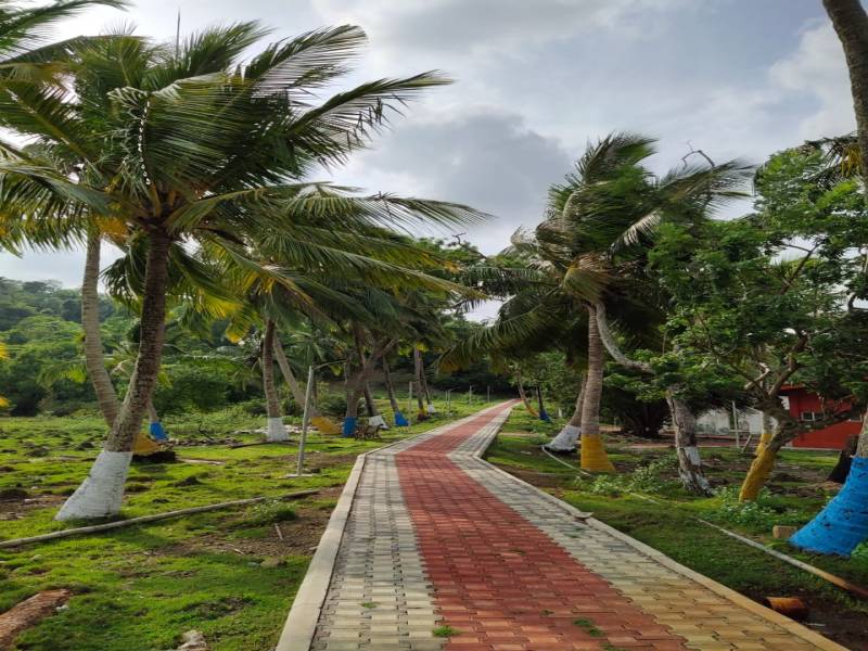 LTC Andaman Tour 5 Days 4 Nights - ( Minimum 6 Adults )