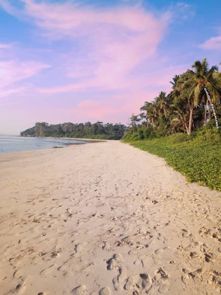 LTC Andaman Tour 5 Days 4 Nights - ( Minimum 6 Adults )