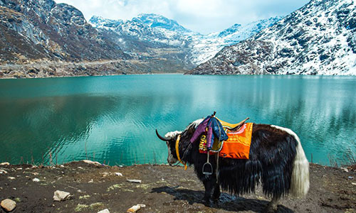 Splendour Himalayan – Gangtok Tour