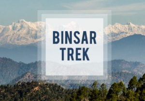 Binsar Trek Tour