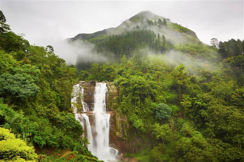 Magical Sri Lanka 3 Tour Image